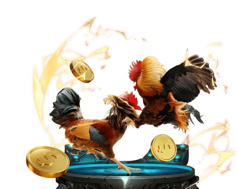 Người chơi quản lý vốn cược