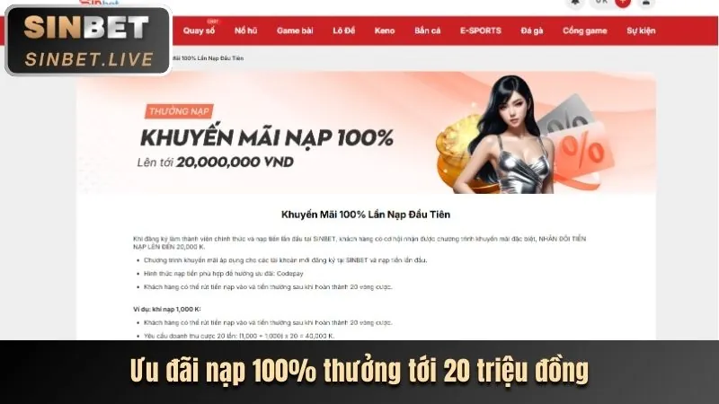 Biểu đồ cấp bậc VIP và phần thưởng